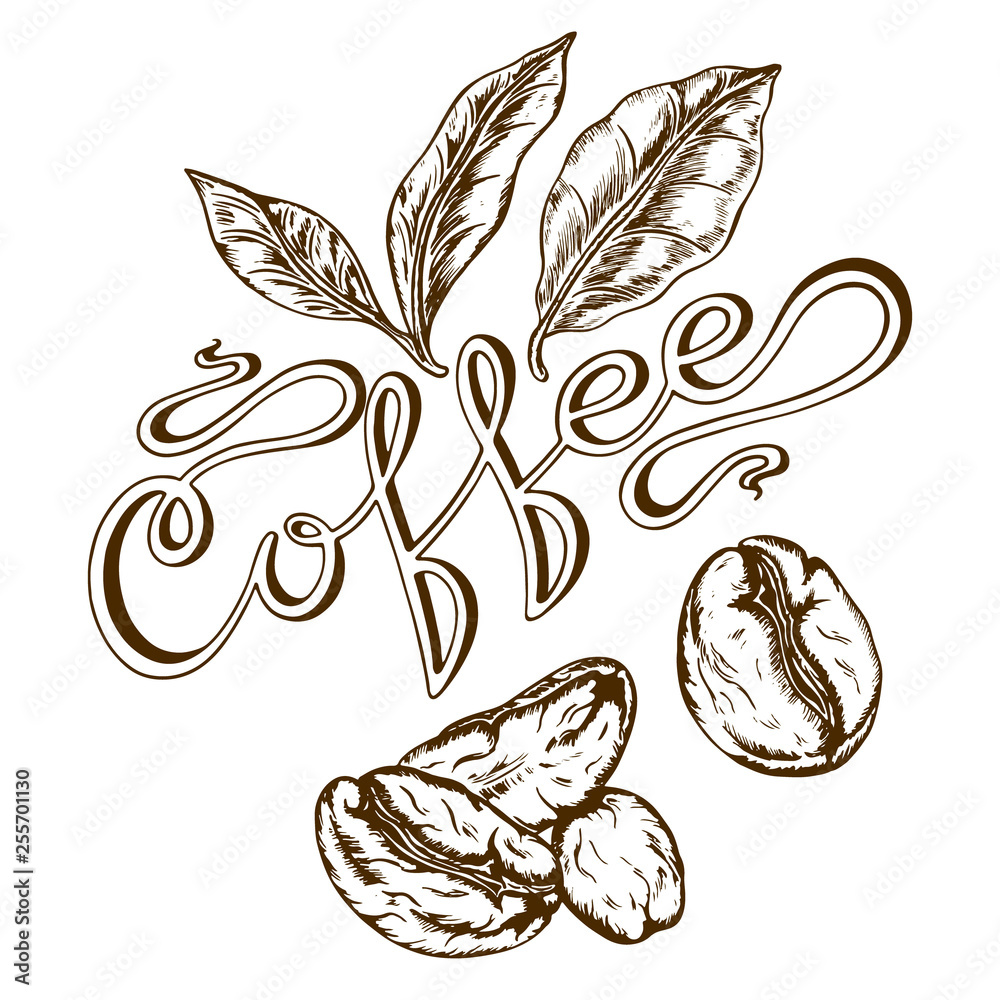 Naklejka premium logo coffee