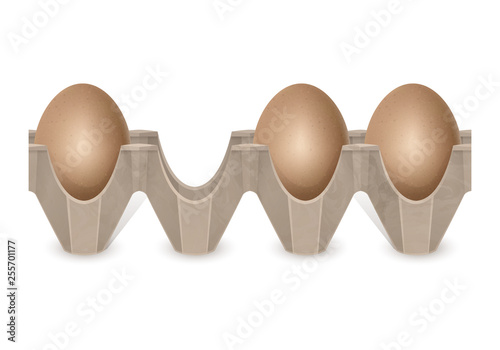 Realistic Chicken eggs in carton egg box isolated on white background. Cardboard egg tray with brown eggs, front view. Bird eggs, vector illustration