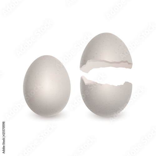 Set of Whole egg and eggshell, realistic white chicken egg isolated on white background