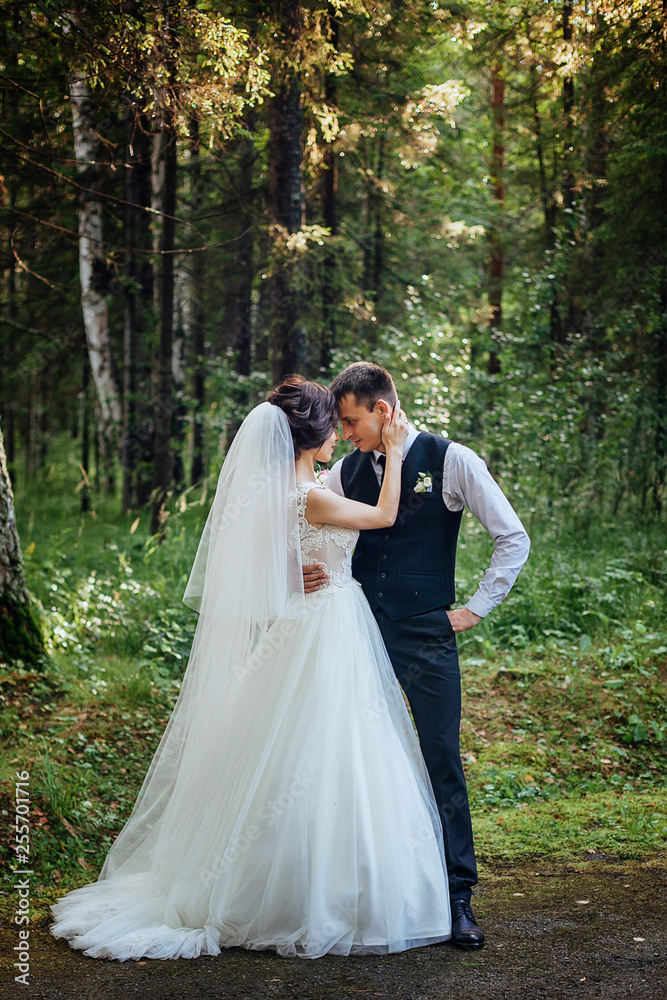 The bride in a luxurious long white dress and her groom pose against the background of a beautiful green forest