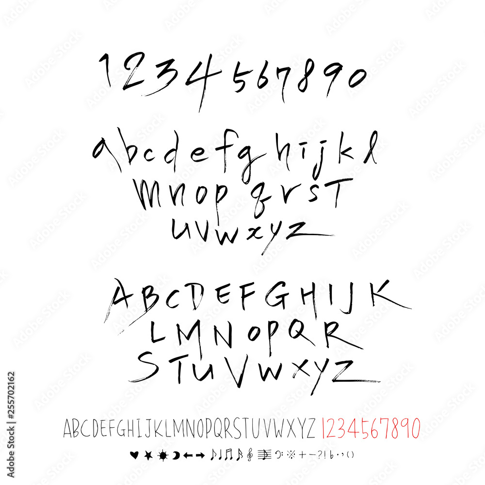 벡터 문자 / 손으로 쓴 글씨체