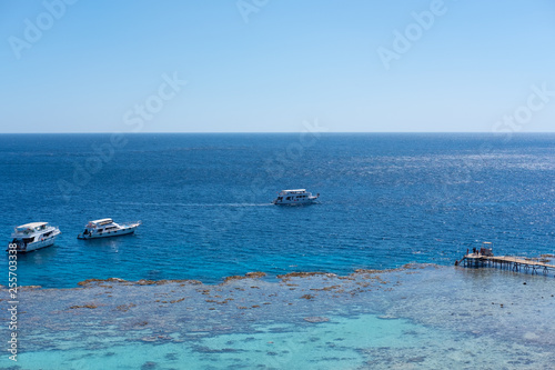 group of people, adults and children, with diving masks and snorkels swimming underwater in sea. White ship and boat on clear sky. Idyllic summer vacation activity