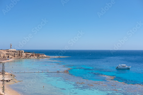 Fototapeta Naklejka Na Ścianę i Meble -  group of people, adults and children, with diving masks and snorkels swimming underwater in sea. White ship and boat on clear sky. Idyllic summer vacation activity