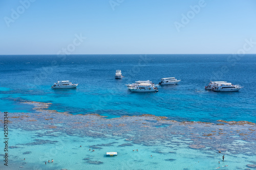 group of people, adults and children, with diving masks and snorkels swimming underwater in sea. White ship and boat on clear sky. Idyllic summer vacation activity © savantermedia