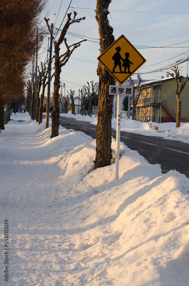 Fototapeta premium 雪道の風景