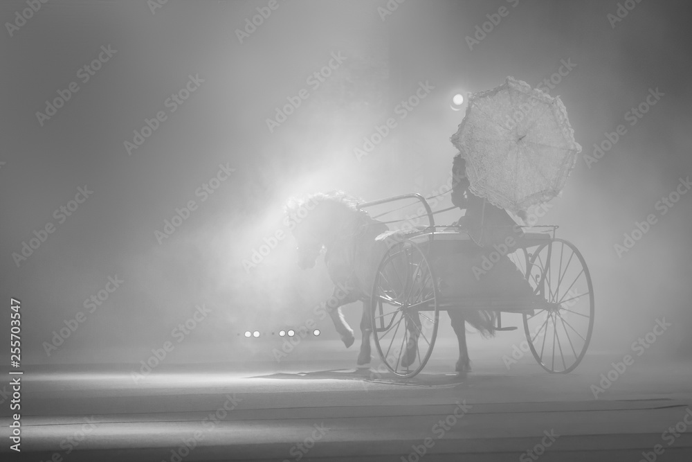 Obraz premium A lady in a vintage dress with a lace umbrella rides in a light horse-drawn carriage. Light smoke background, back side view, black and white image