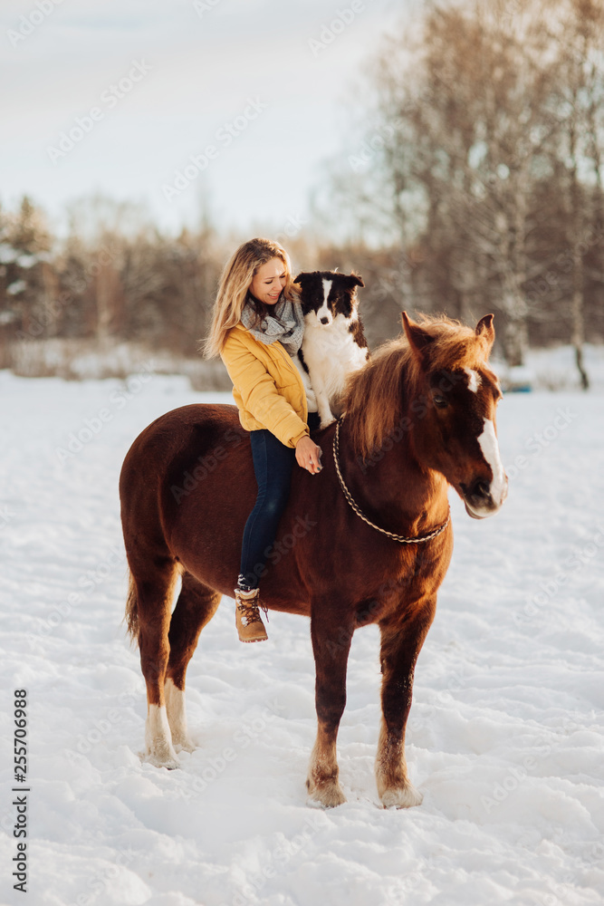 Young happy cute smiling woman with her dog border collie sit on horse in snow field on sunset. yrllow dress Young happy cute smiling woman with her dog border collie sit on horse in snow field on sunset. yrllow dress