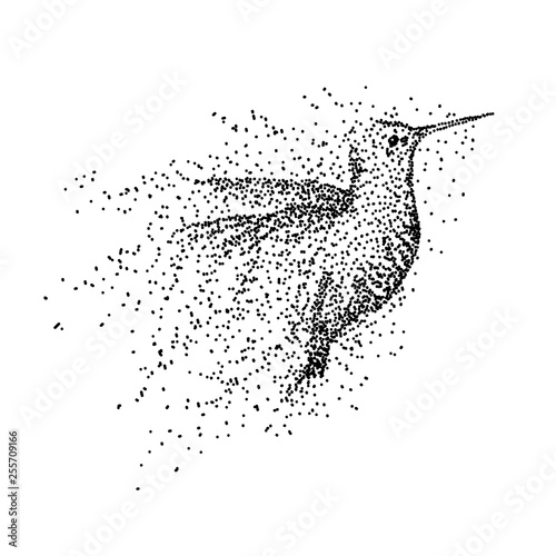hummingbird particle vector illustration