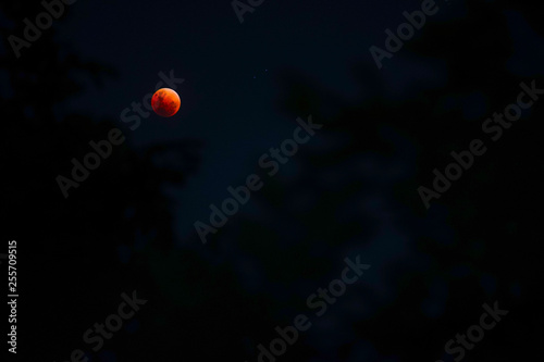 Bloodmoon
