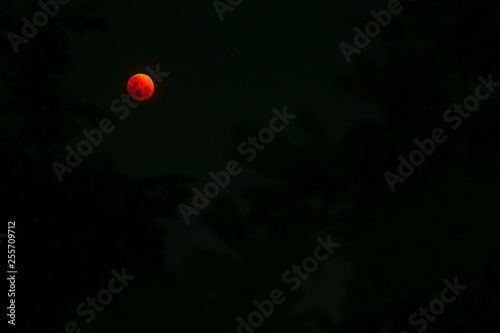 Bloodmoon