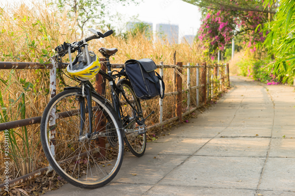 Fototapeta premium Bike on the green path