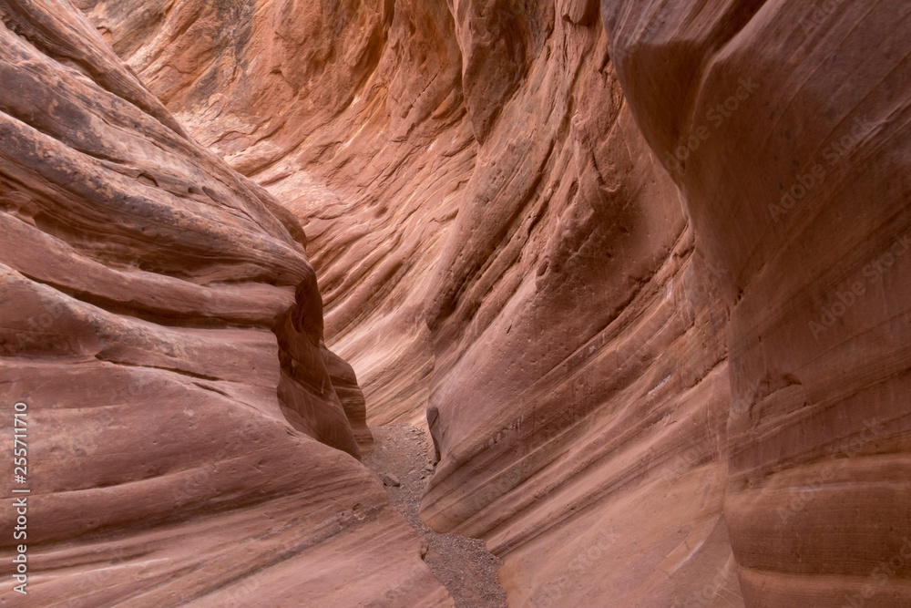 Canyon in Utah Canyon in Utah