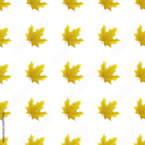 Seamless pattern with autumn leaves on white background, for any occasion
