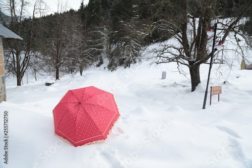 red umbrella snow photo