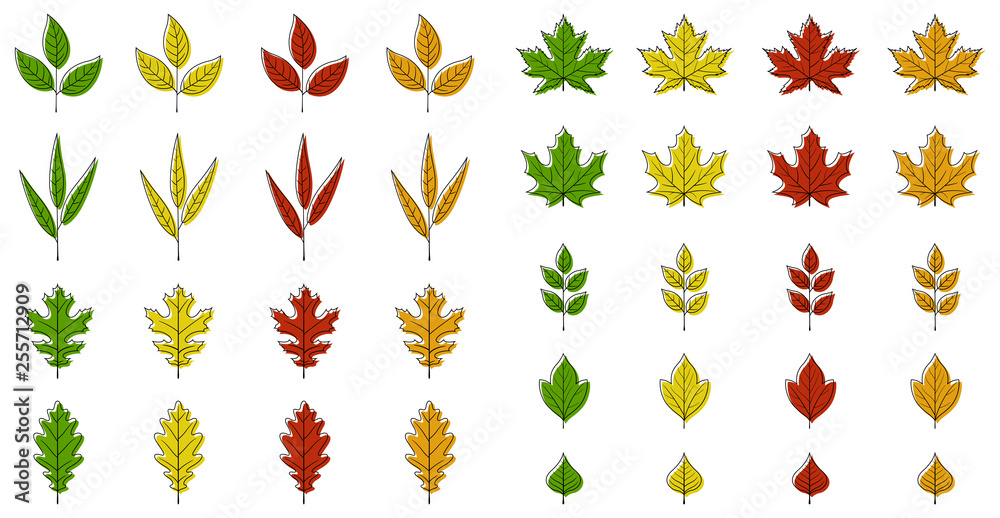 Autumn leaves set on white background, for any occasion Autumn leaves set on white background, for any occasion