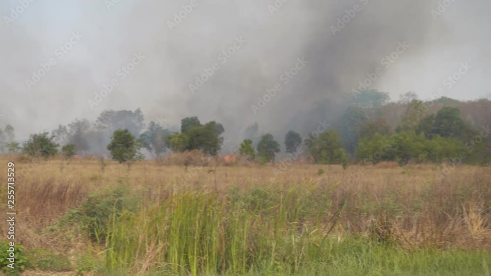 The fire was burning wild and very severe.