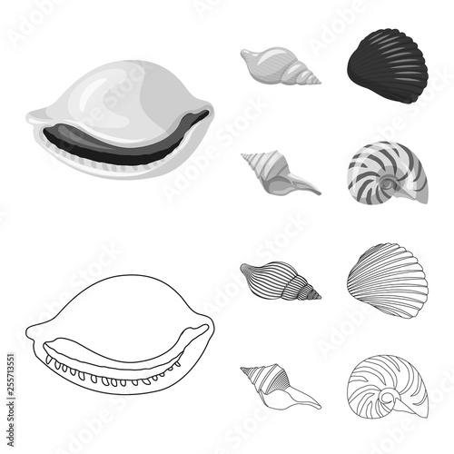 Vector illustration of animal and decoration symbol. Collection of animal and ocean stock vector illustration.