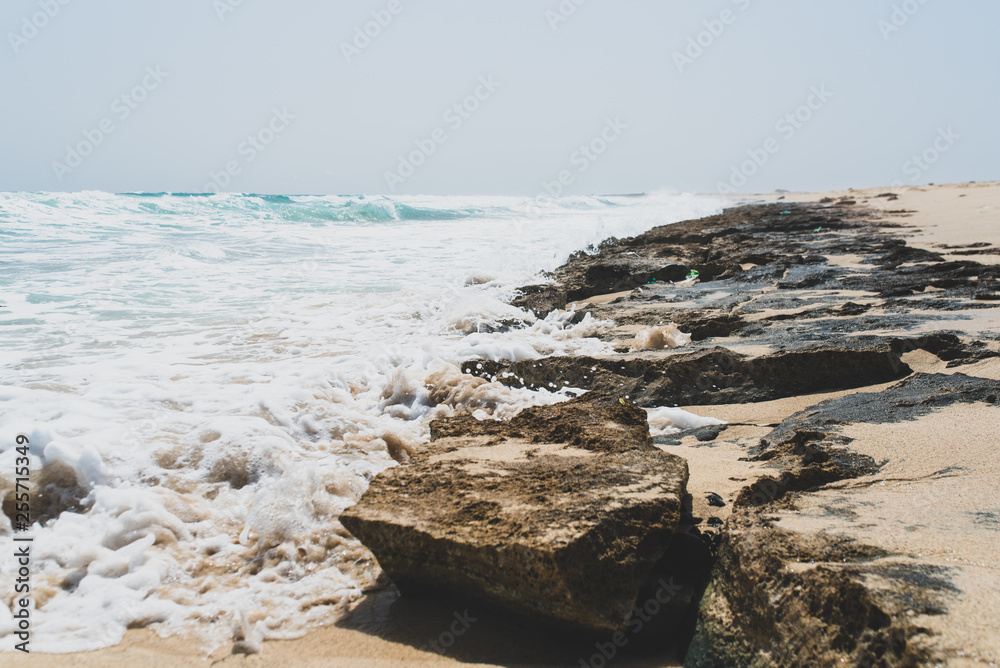 dessert, beach and ocean on Sal island, cape verde dessert, beach and ocean on Sal island, cape verde
