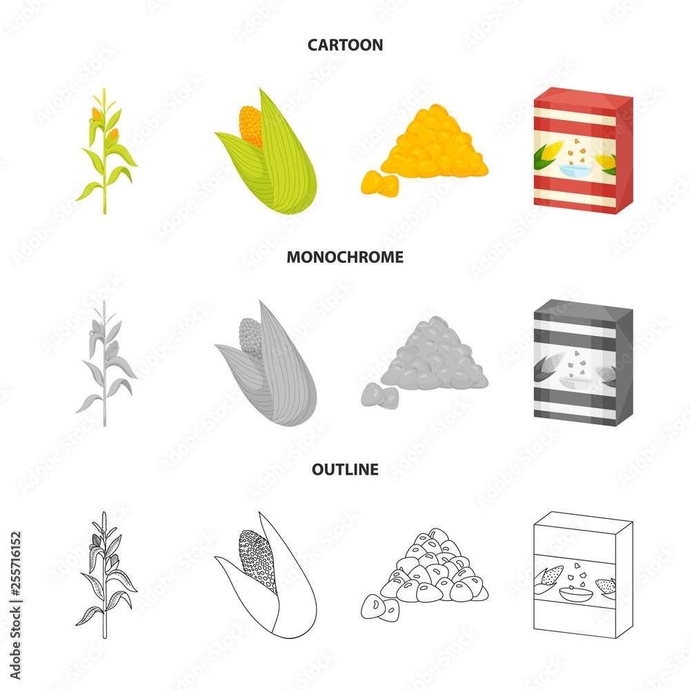 Naklejka premium Vector design of cornfield and vegetable icon. Set of cornfield and vegetarian stock vector illustration.