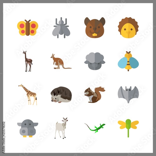 Fototapeta Naklejka Na Ścianę i Meble -  16 animal icon. Vector illustration animal set. hippopotamus and sheep icons for animal works