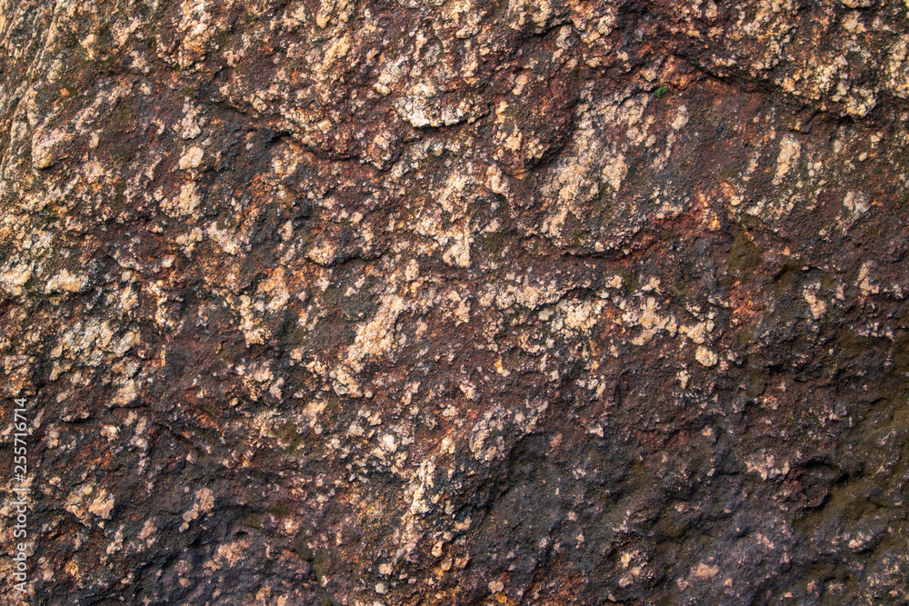 Texture of stone Texture of stone
