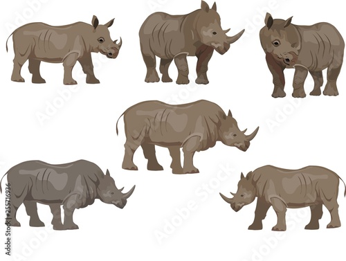Fotografiet Set of rhinoceros animals, isoalted on white
