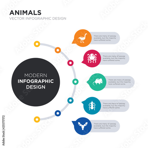 modern business infographic illustration design contains moose, mosquito, mouse, octopus, ostrich simple vector icons. set of 5 isolated filled icons. editable sign and symbols