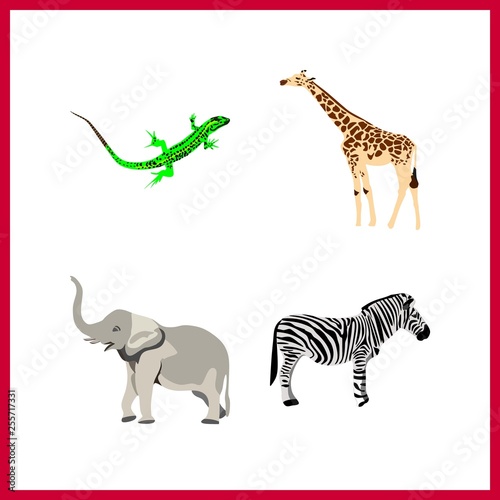 4 zoo icon. Vector illustration zoo set. lizard and giraffe icons for zoo works