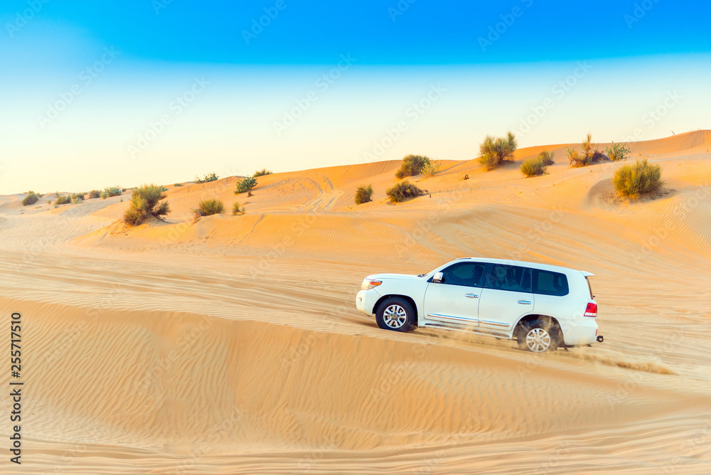 Fototapeta premium White jeep at a safari in the desert. Copy space for text.