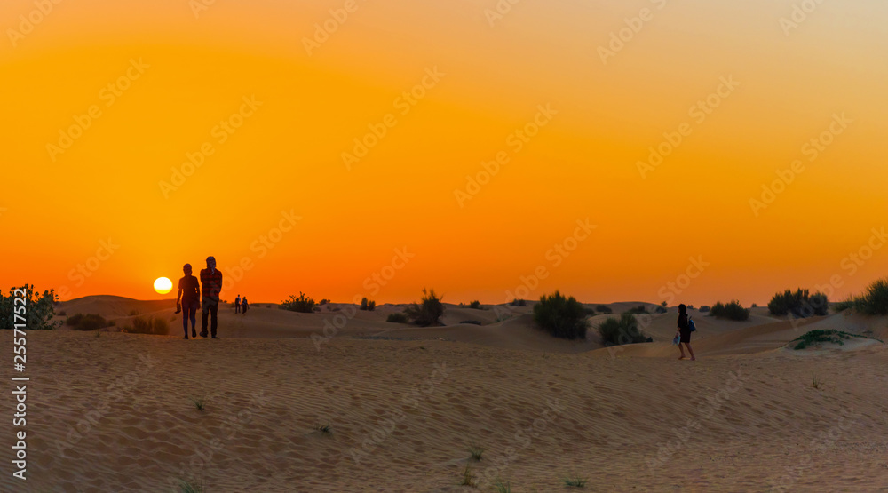 Sunset over sand dunes in Dubai Desert Conservation Reserve, United Arab Emirates. Copy space for text.