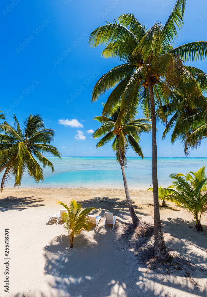 Stunning tropical Aitutaki island with palm trees, white sand, turquoise ocean water and blue sky at Cook Islands, South Pacific. Vertical.