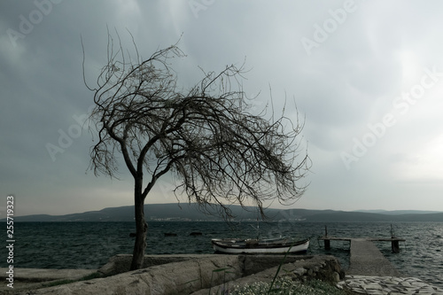 Tree, pier and sea on a cloudy autumn day.