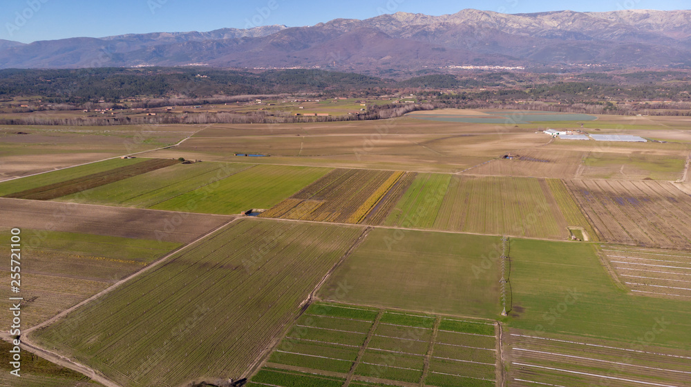 Aerial view of harvest fields