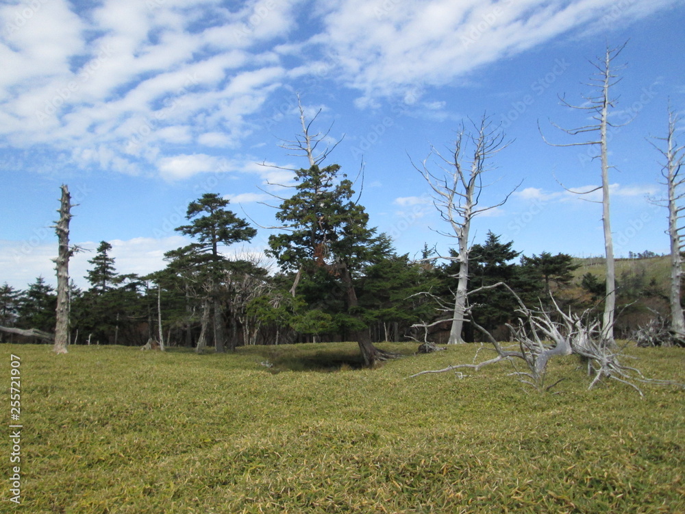 秋の大台ケ原 秋の大台ケ原