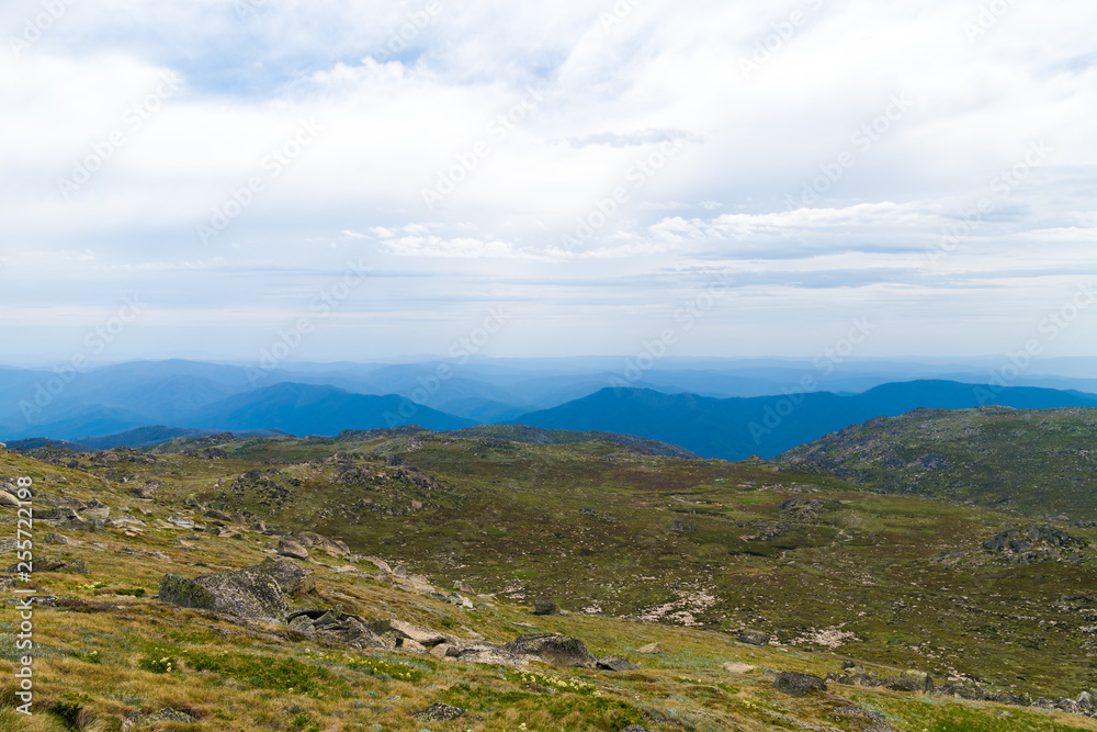 Native Australian vegetation in Kosciuszko National Park, NSW, Australia. Nature background with plants and vegetation. Native Australian vegetation in Kosciuszko National Park, NSW, Australia. Nature background with plants and vegetation.
