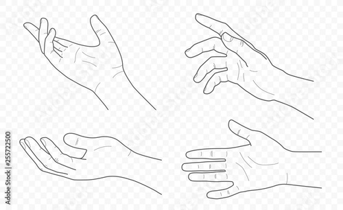 handdrown vector outline and contour illustration of hands with fingers in different gestures with open palms