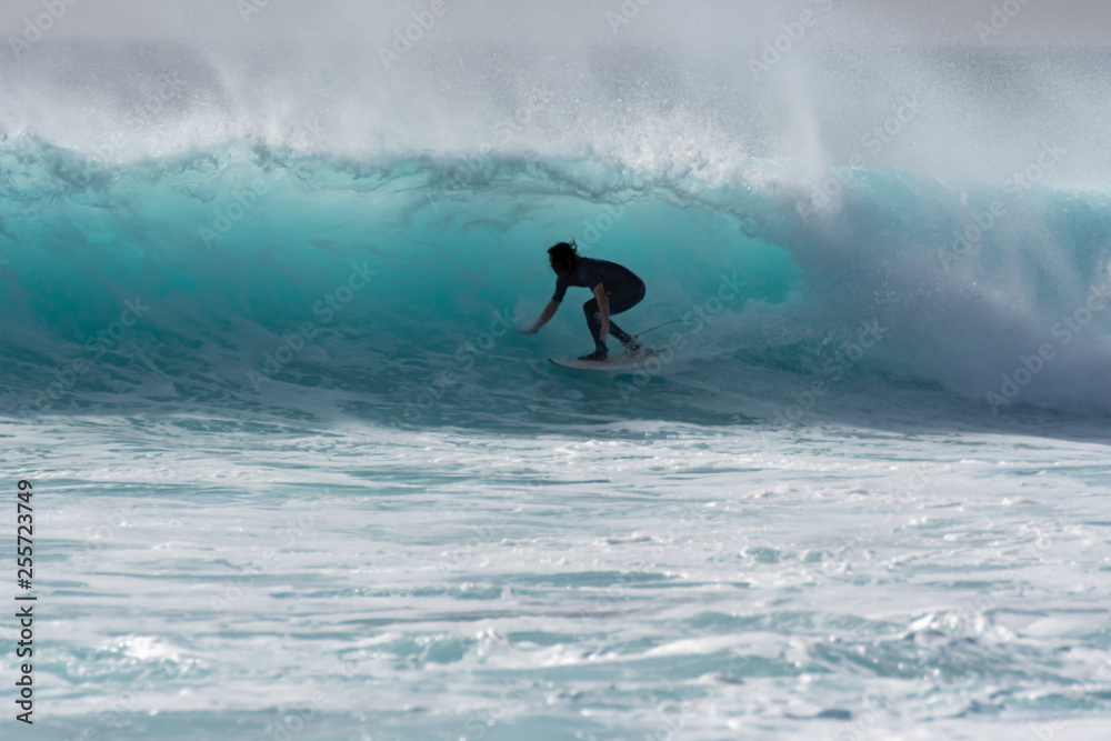 surfer against a deep blue wave 