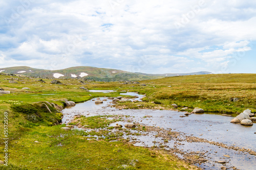 View over Snowy River in Kosciuszko National Park, NSW, Australia. Nature background with plants and vegetation.