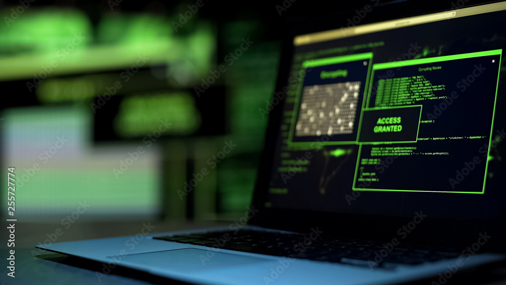 Message Access granted written on screen, unauthorized remote control of account Message Access granted written on screen, unauthorized remote control of account