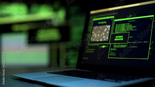 Message Access granted written on screen, unauthorized remote control of account