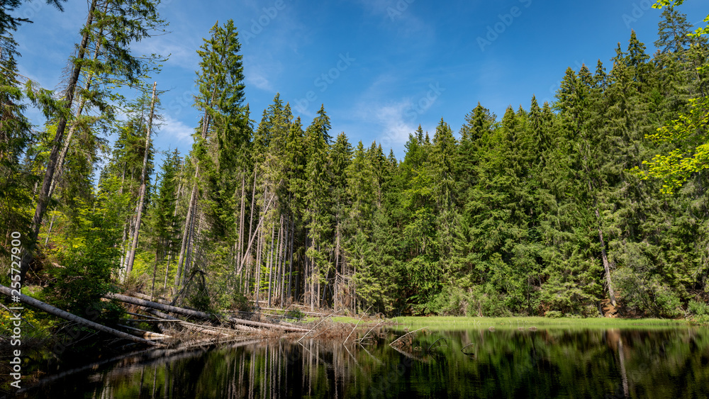 Boubin lake, primeval forest, Bohemian Forest National Park. Boubin lake, primeval forest, Bohemian Forest National Park.