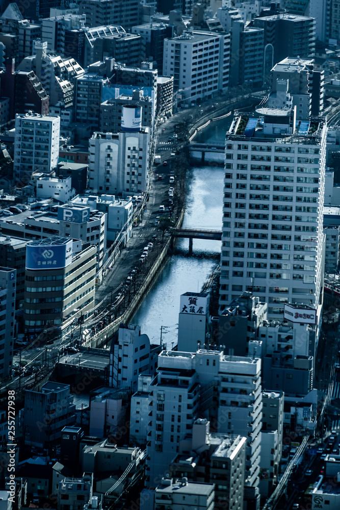 Fototapeta premium 横浜ランドマークタワーから見える街並み