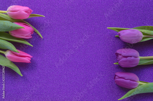 Fototapeta Naklejka Na Ścianę i Meble -  Purple and pink tulips on purple glitter background with copy space