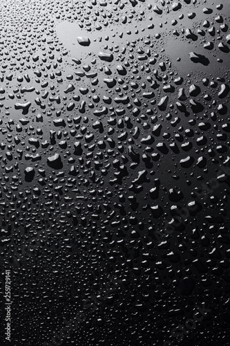 Shiny water drops on black surface, background