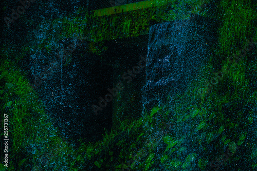 Fototapeta Naklejka Na Ścianę i Meble -  鬱蒼としたジャングルの中の滝