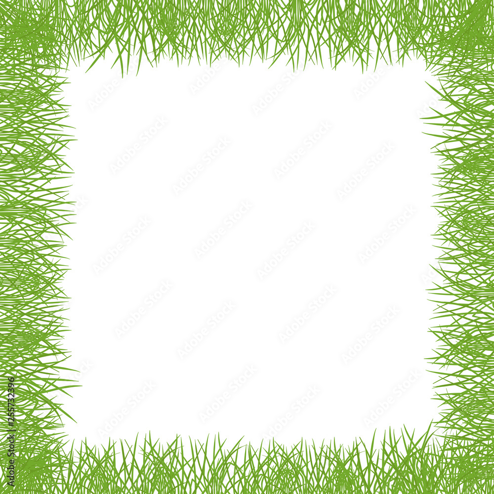 Green grass Square frame lawn banner. Border frame isolated transparent background. Vector flat Illustration on white background Green grass Square frame lawn banner. Border frame isolated transparent background. Vector flat Illustration on white background
