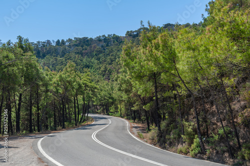 Uphill a curvy, bendy road. Open road through forest on hillside. Open road. Empty road with no traffic in countryside. Rural landscape. Greece.