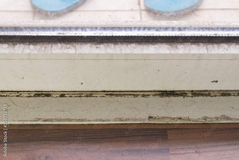 Spot of mold, mould, mildew or fungas on frame of door. Spot of mold, mould, mildew or fungas on frame of door.