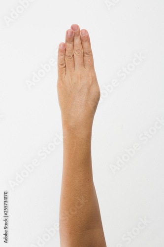 lady hand gestures - white background photo