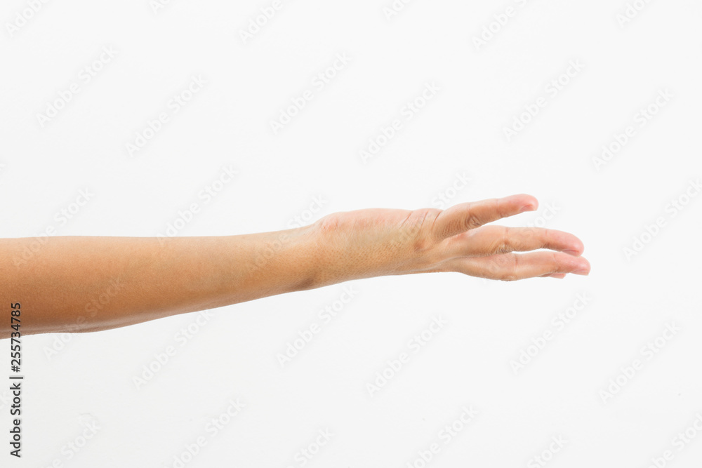 lady hand gestures - white background